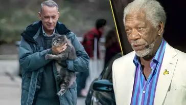 Tom Hanks 🆚 Morgan Freeman : Quel acteur êtes-vous ?