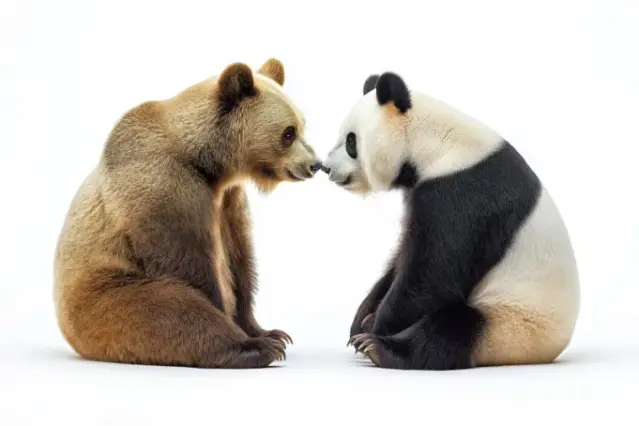 🐻 Ours 🆚 🐼 Panda : Quel animal sommeille en vous ?