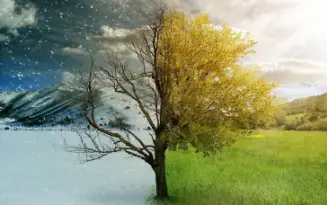 ❄️ Neige 🆚 🌞 Chaleur : Quel esprit sommeille en toi ?