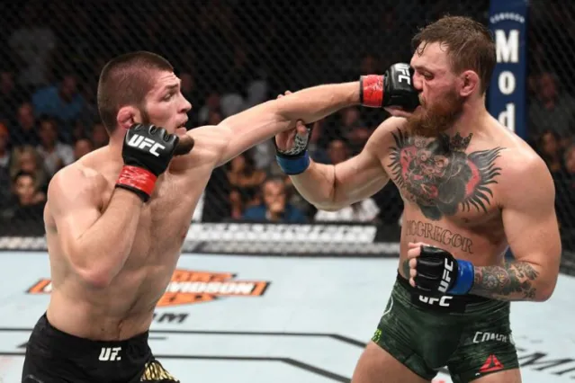 Combien de poids différents sont représentés dans les divisions de l'UFC ?