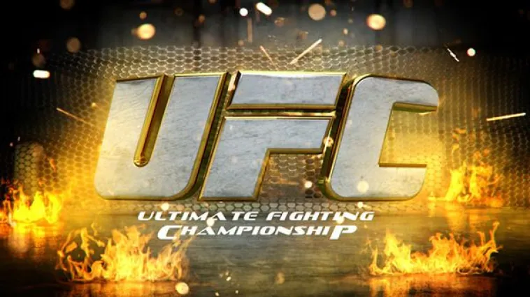 Quel combattant détient le record pour le plus grand nombre de titres de champion de l'UFC dans différentes catégories de poids ?