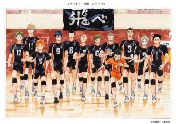 Quel personnage est surnommé "Le Petit Géant" dans "Haikyu!!" ?