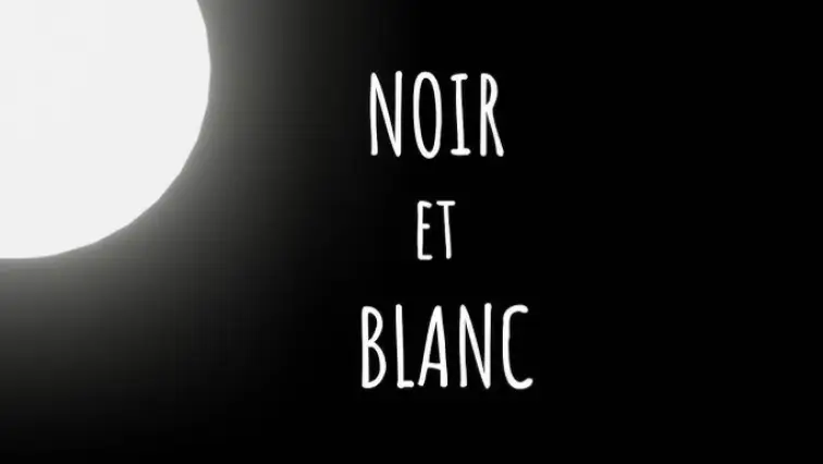 Noir ou Blanc : Quel est ton style ?