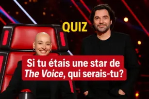 Si tu étais une star de The Voice, qui serais-tu ?