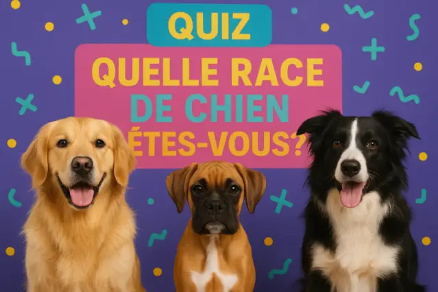 Quelle race de chien êtes-vous ?