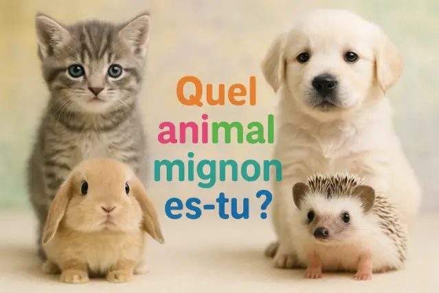 Quel animal mignon es-tu ?